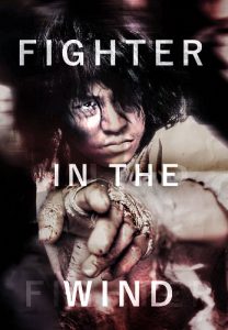 Fighter in the Wind (2004) HD