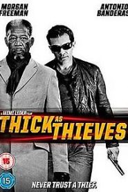 Thick as Thieves (2009) aka The Code HD