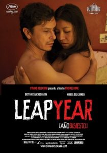 Leap Year (2010) HD