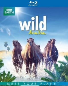 Wild Arabia (2013) HD