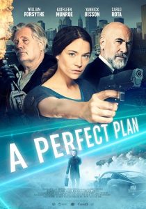 A Perfect Plan (2020) HD