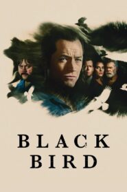 Black Bird: Sezoni 1